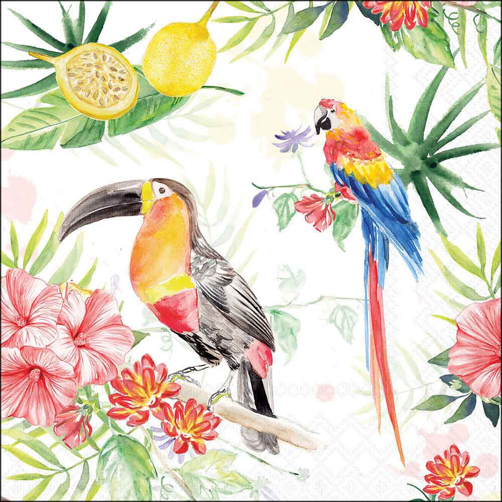 Tropical Birds Paper Napkins Toucan Parrot Jungle Decoupage Party Serviettes x20