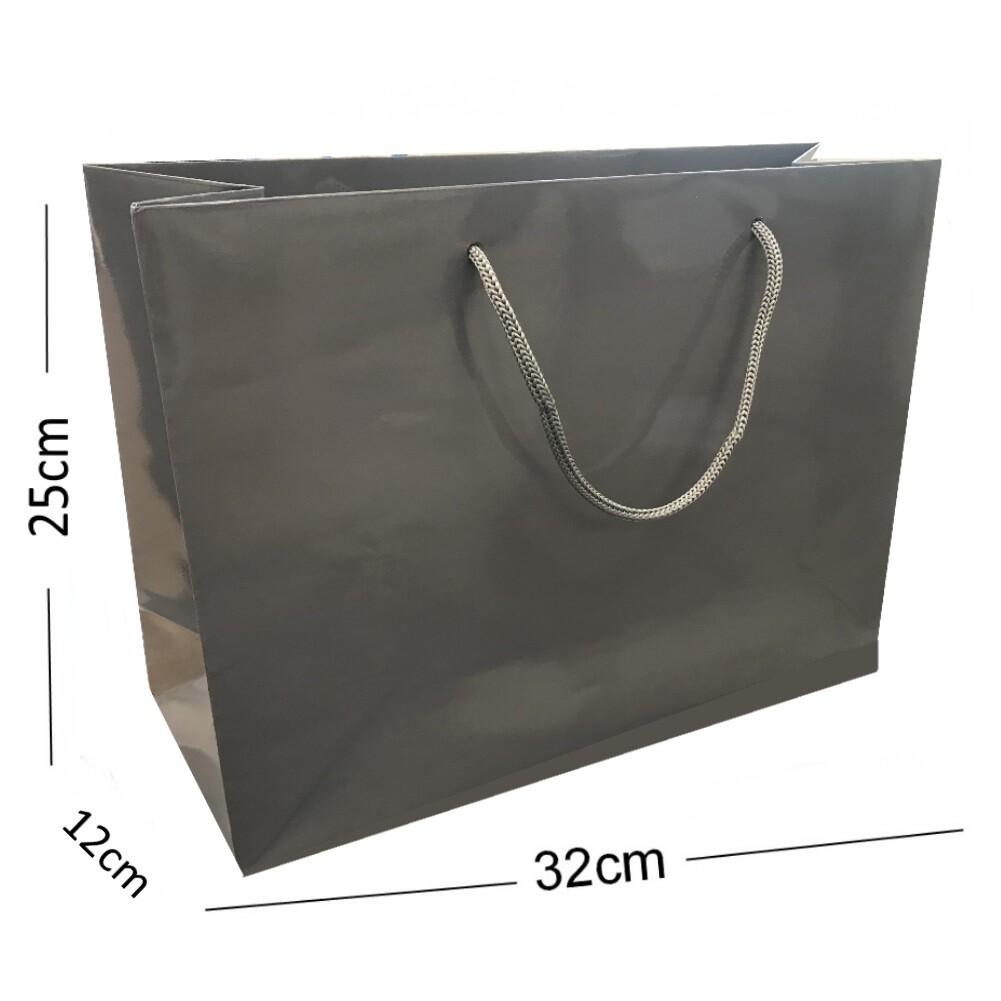 Grey / Dark Silver Glossy Landscape Boutique Shop Gift Bags ~ Strong Quality Bag