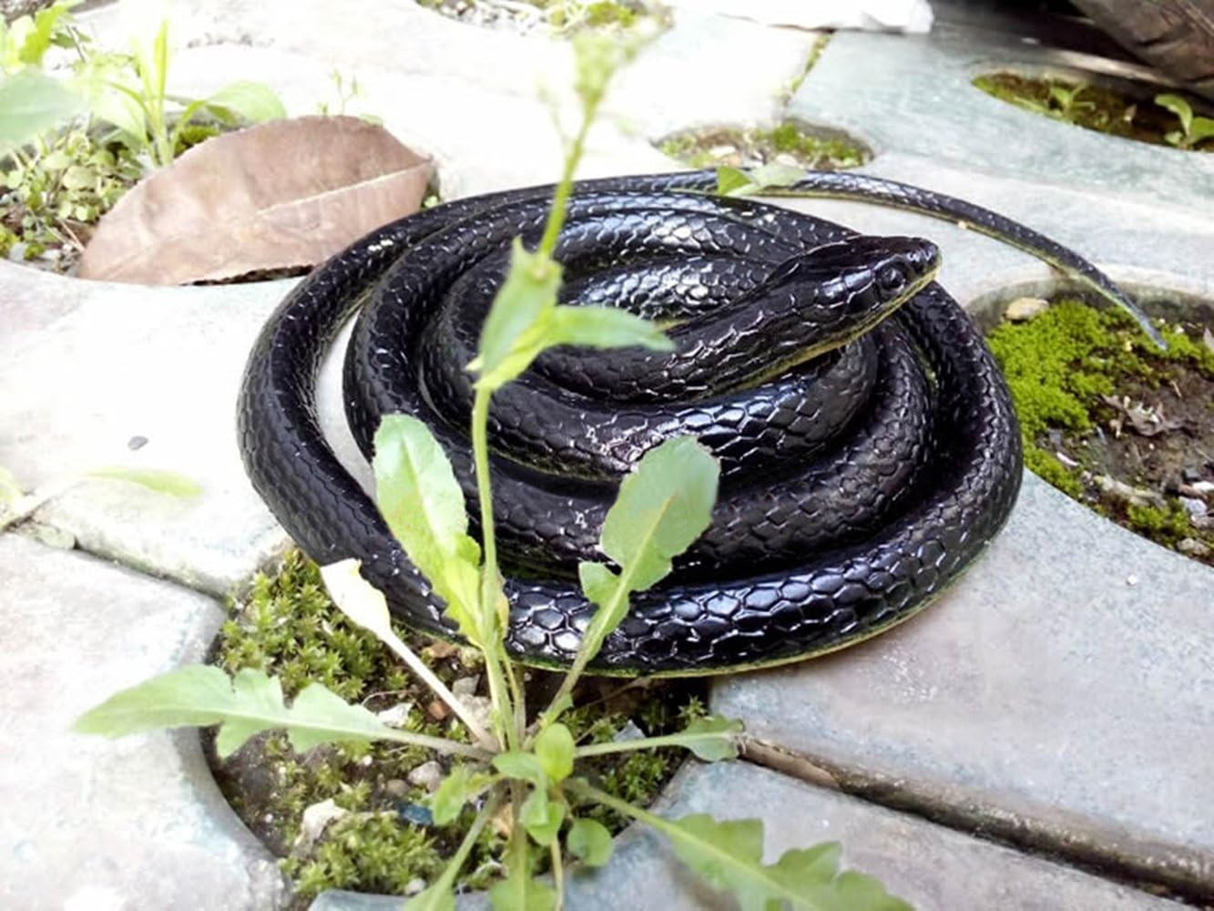 52 Fake Large Rubber Snake Realistic Lifelike Scare Prank Gag Gift Joke Kid Toy