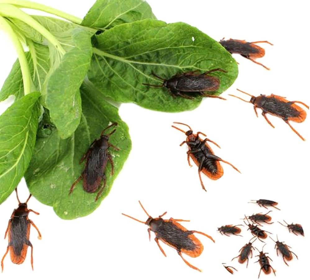 Tiny 10PC Cockroach Toy Set – Perfect for Pranking Friends & Halloween Decor