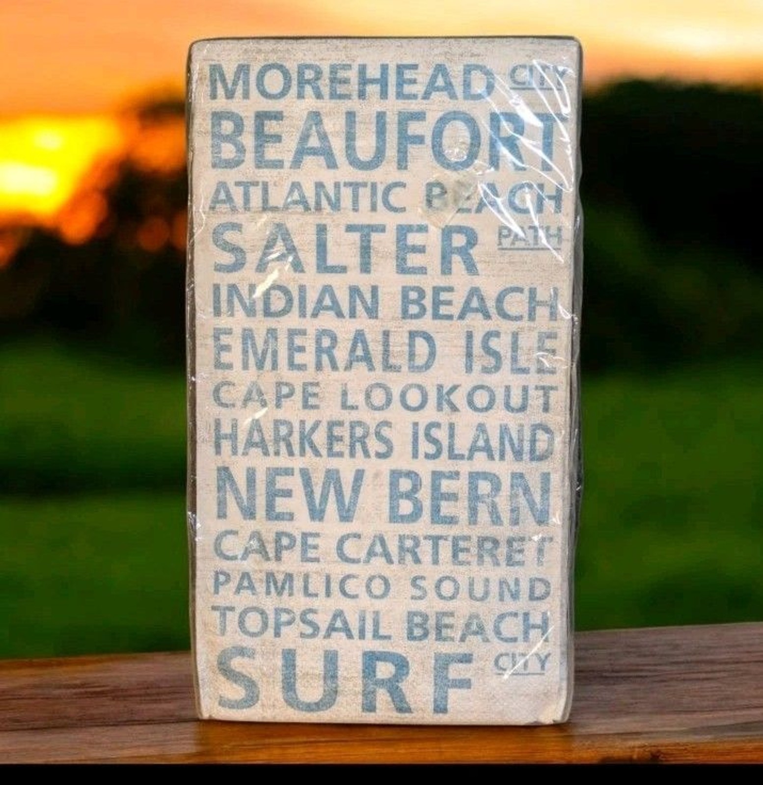 North Carolina Shore 16 count Pkg Dinner Napkins Paper Guest Towels NEW