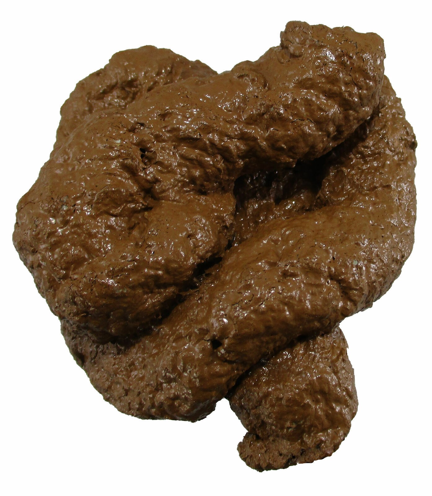 PREMIUM Fake Dog Poop Doggie Poo Realistic Doggy Doo Doo Dirt Joke Gag Crap Pile
