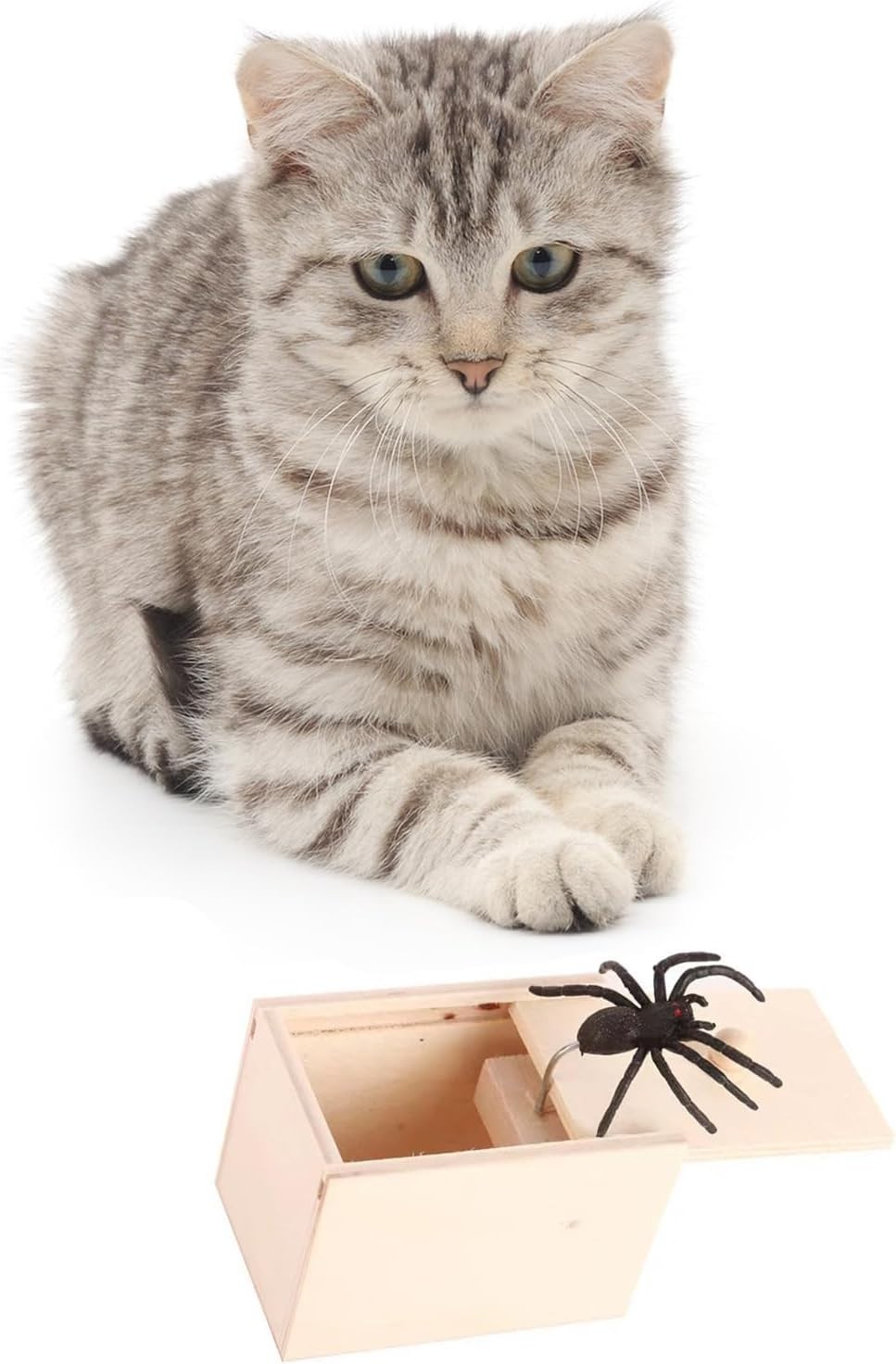 Rubber Spider Prank Box Handcrafted Wooden Surprise Money Surprise in a Box