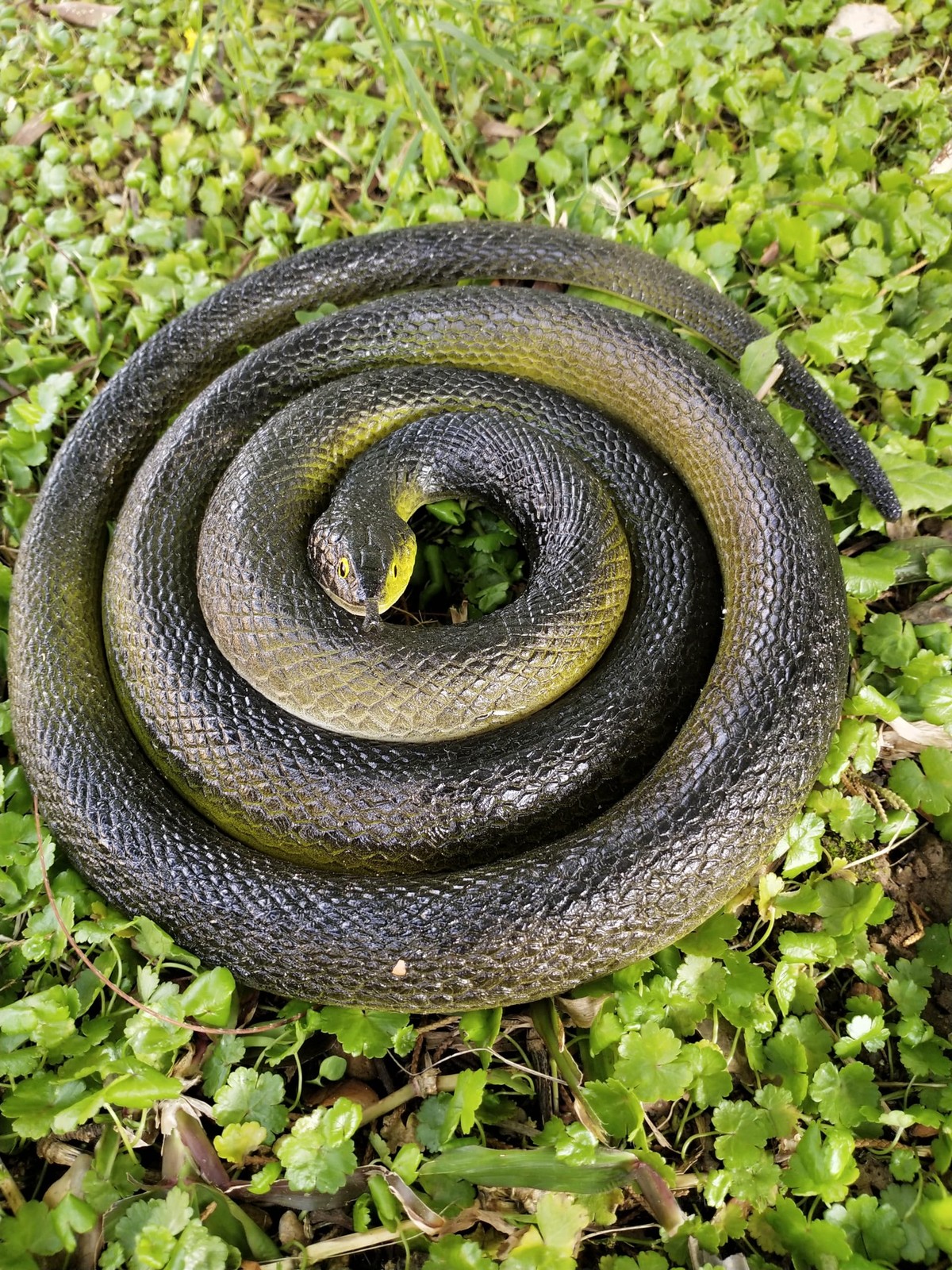 53â€ Large Rubber Snakes Super Realistic, Fake Snake Looks so Real, Snake To…