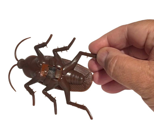 Funny WALKING COCKROACH Jumbo Roach Sticks & Crawls Down Wall Prank Joke Toy Bug