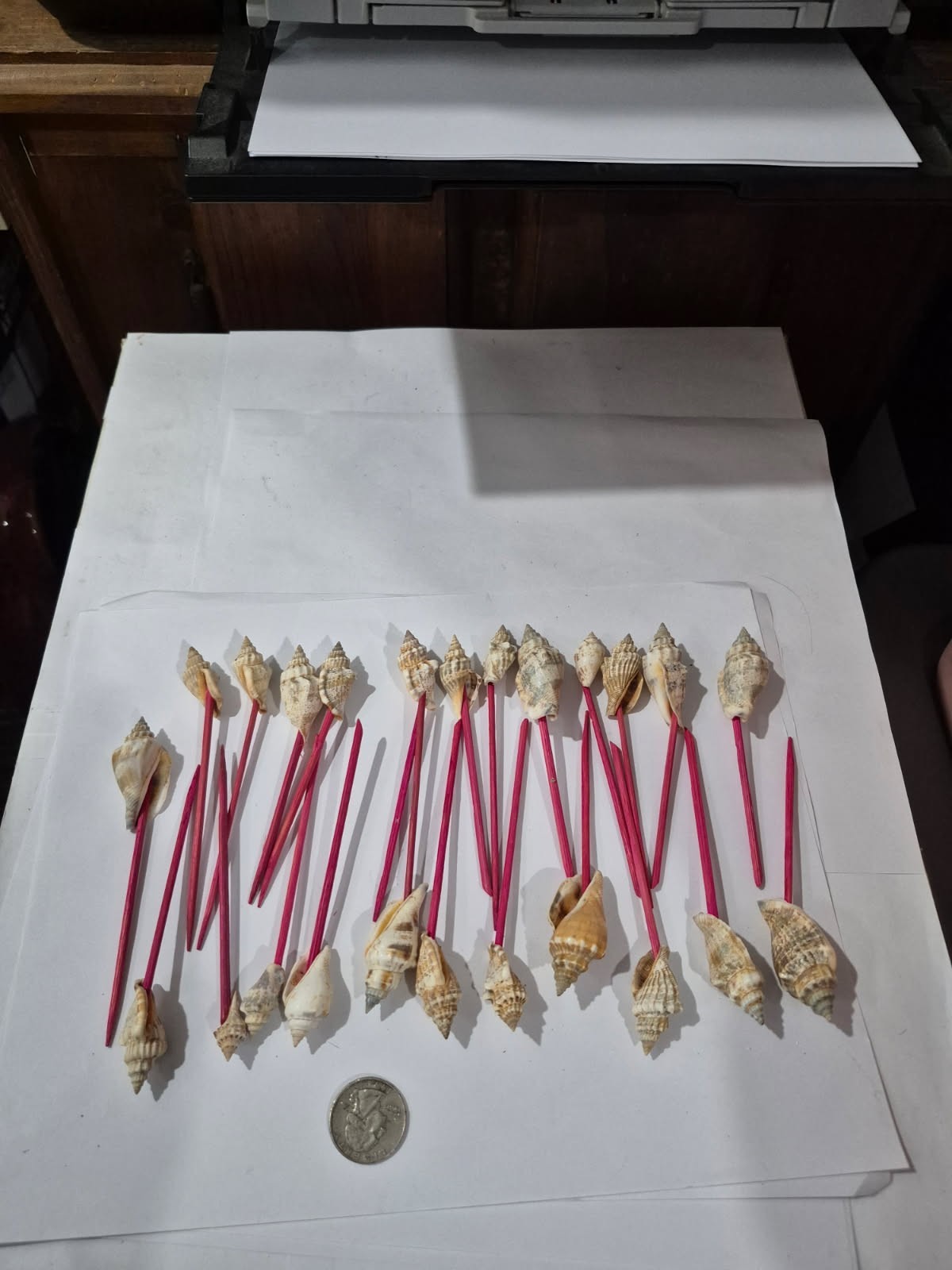 Lot of 24 Vintage Seashell Cocktail Picks Appetizer Seashell Toothpicks DRS3
