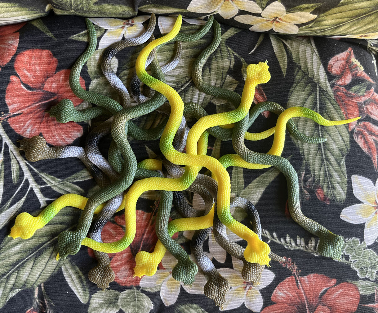 Toy Snakes (12) – Flat – Medusa?