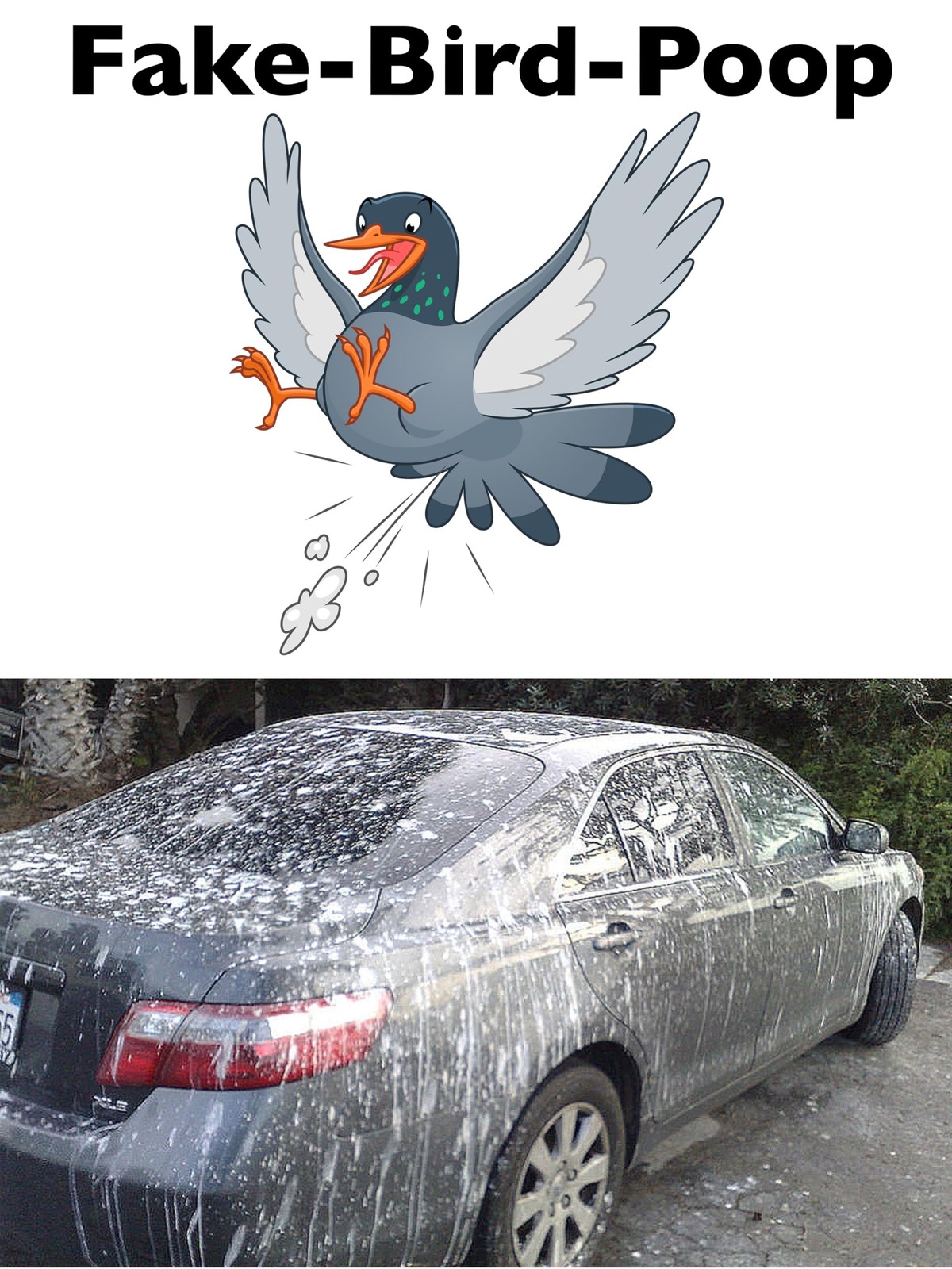 Pranks and Prank Ideas – Fake Bird Poop for Cars Special Effects April Fools …