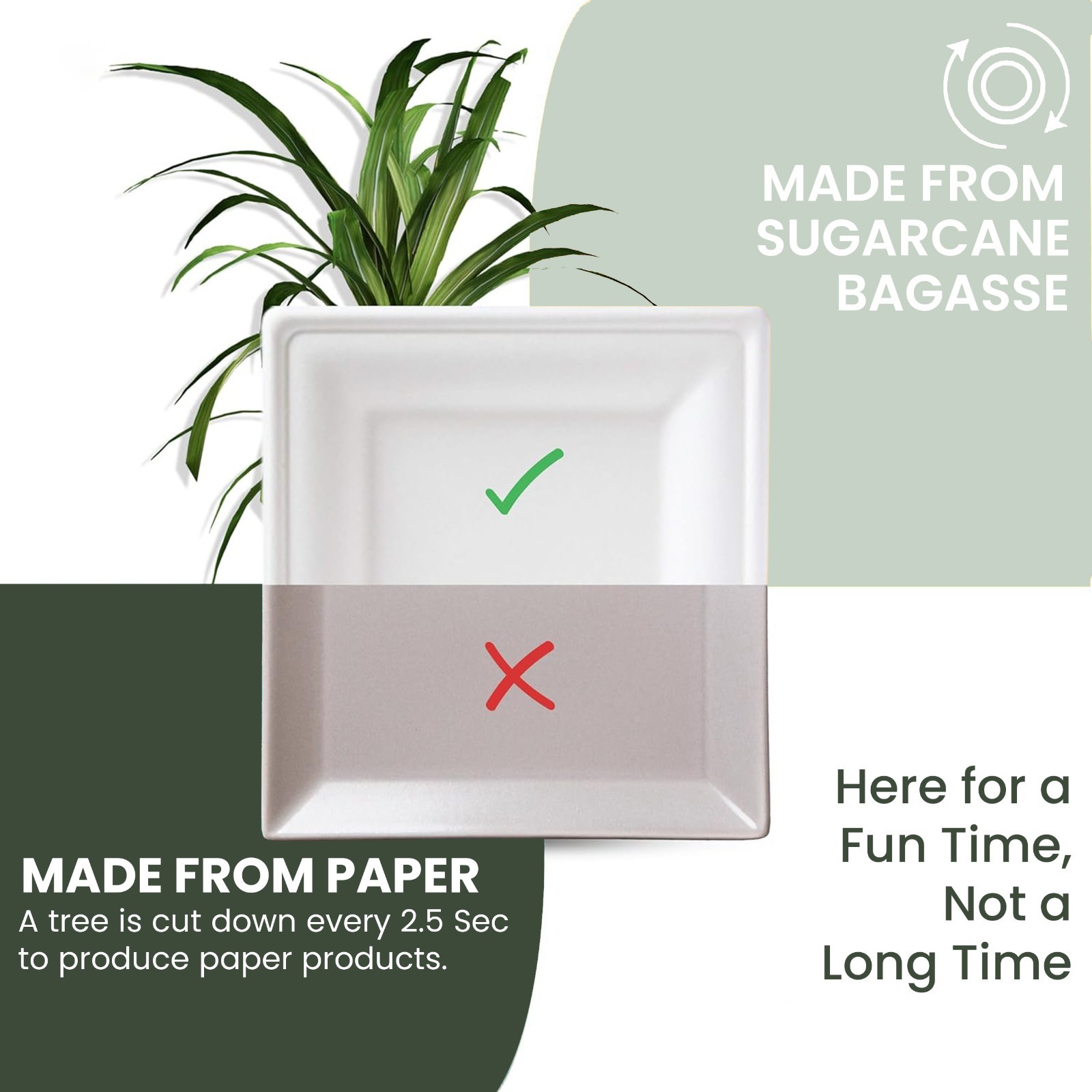 FPN Disposable Plates Square for Party Eco-Friendly Microwave-safe : 6″|8″|10″