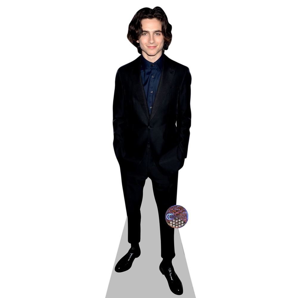 Timothee Chalamet Mini Size Cutout