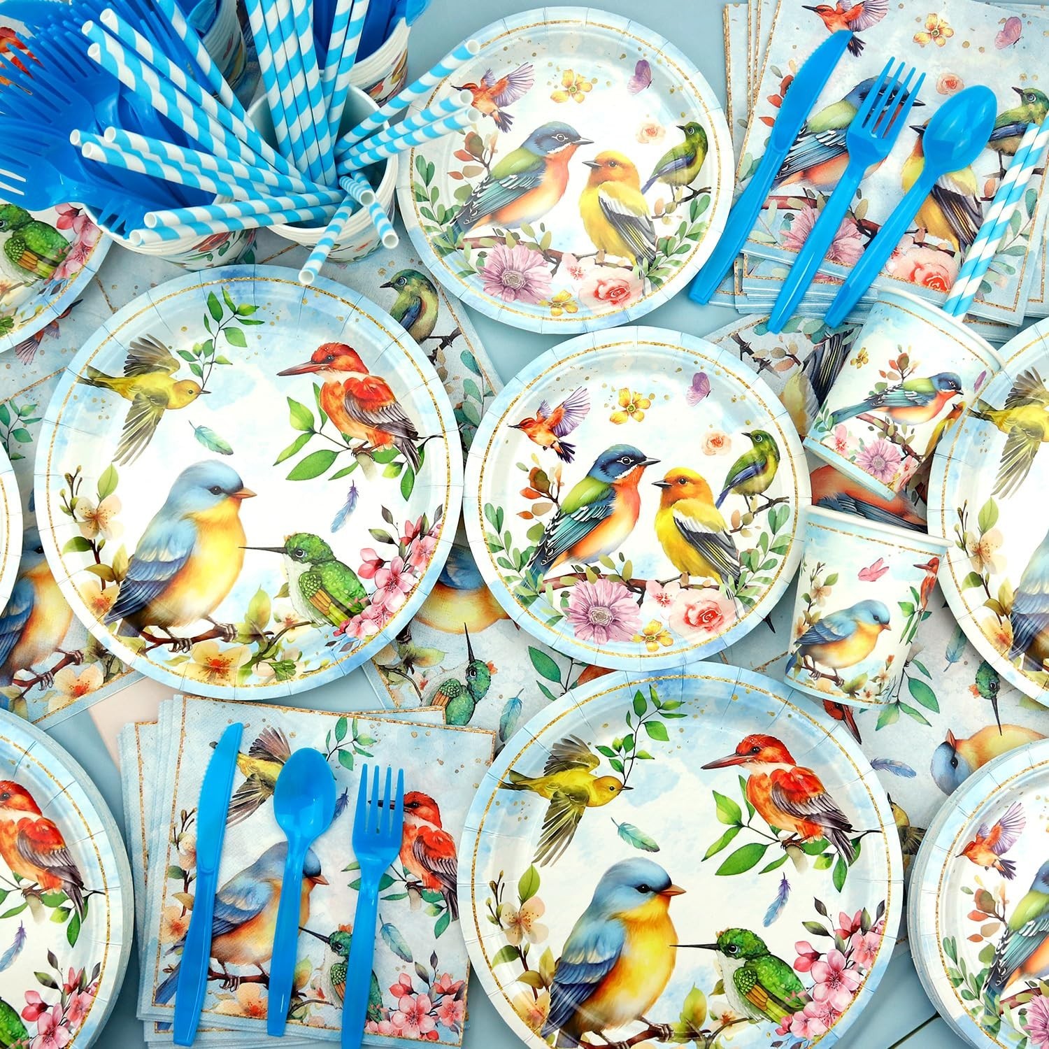 Bird Theme Party Supplies Set – Birthday Banners, Plates, Cups, Tablecloth & Bal