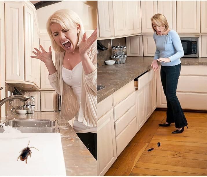 15PCS Fake Cockroaches – Lifelike Prank Props for Halloween Fun