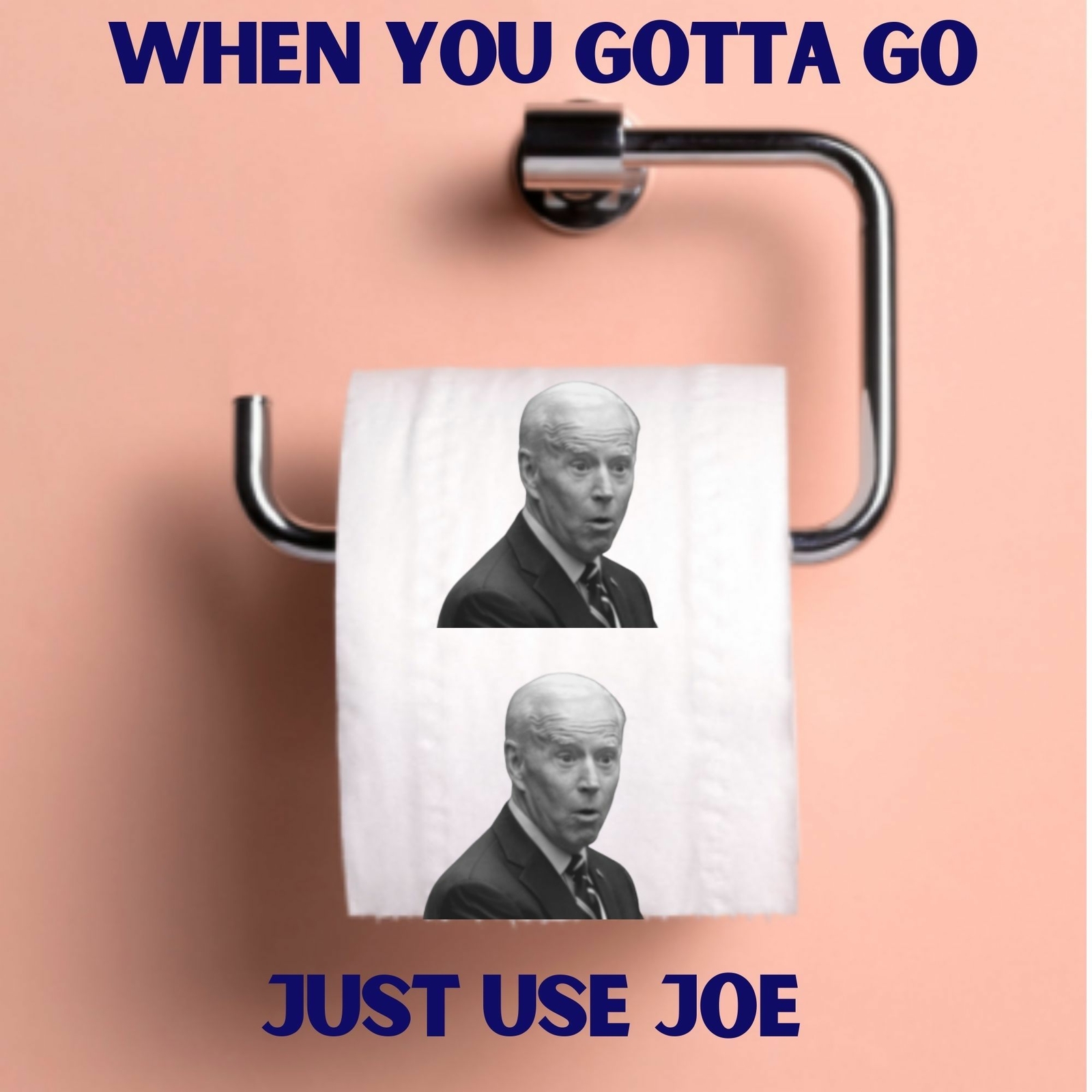Joe Biden Toilet Paper, Funny Political Novelty Biden TP Gag Gift 2-Pack