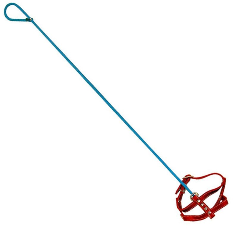 Invisible Dog Leash – Invisible Dog Walking Gag Prank Novelty For Dog Lover