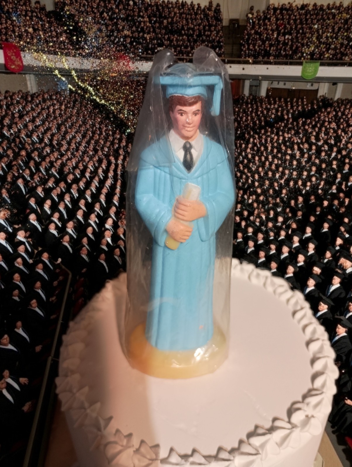 Graduation Graduate Cap And Gown Male Figure From Decopak