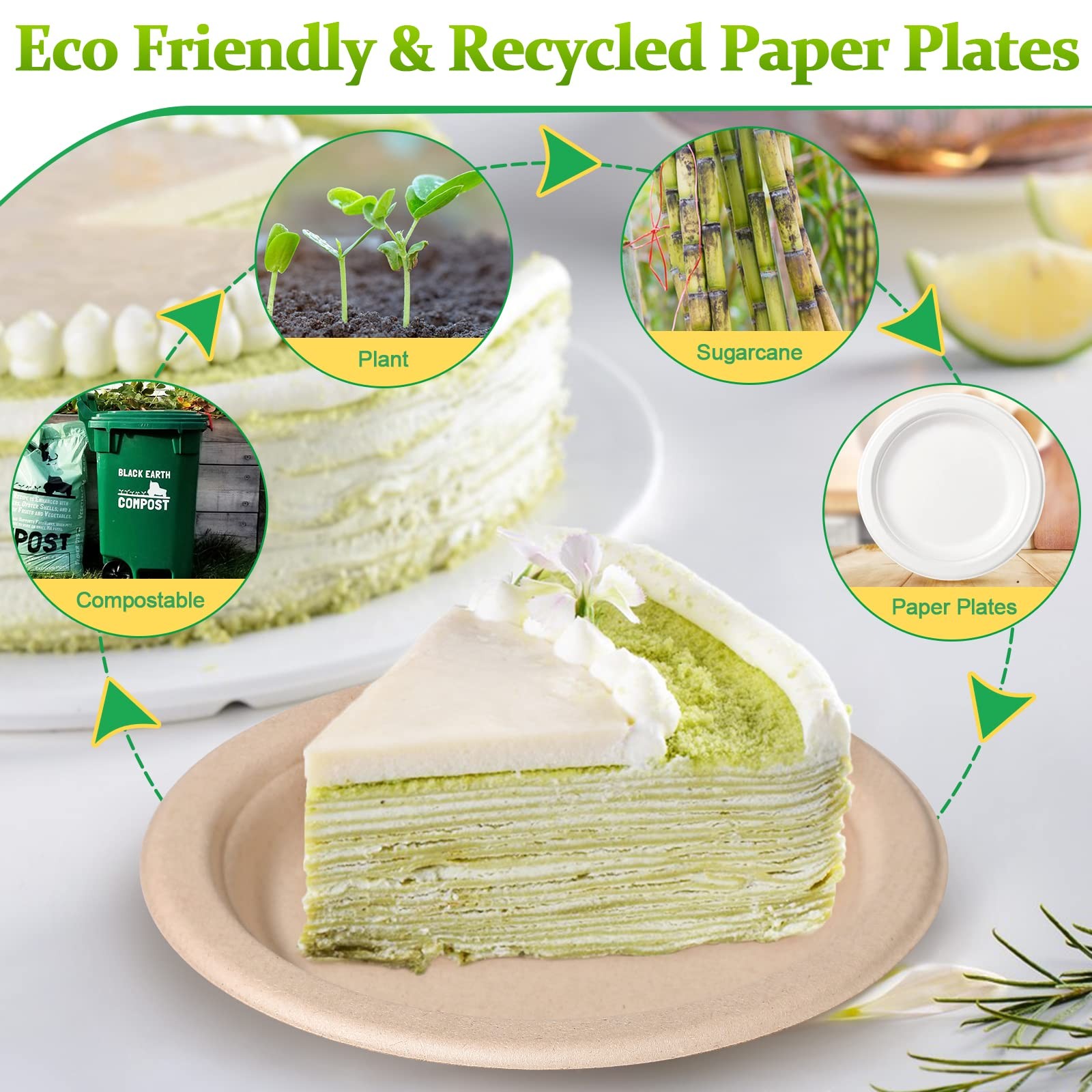 Paper Plates 6 inch, 500 Pack Small Paper Plates Bulk, 100% Compostable Plate…
