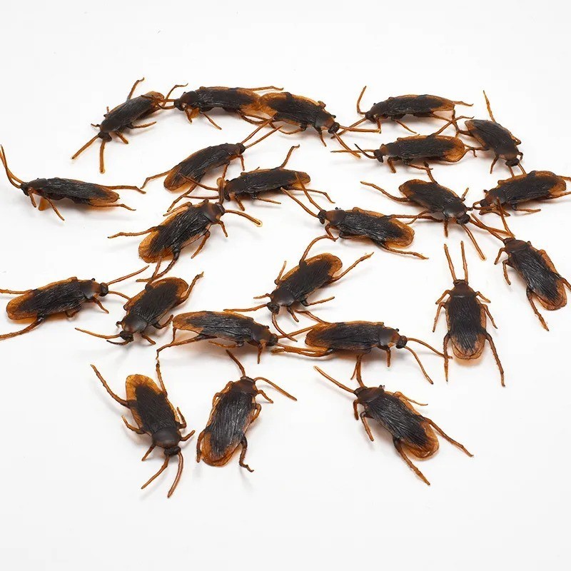10 Prank Cockroaches Realistic Cock Roach Rubber Fake Creepy Bugs Gag Toy Joke