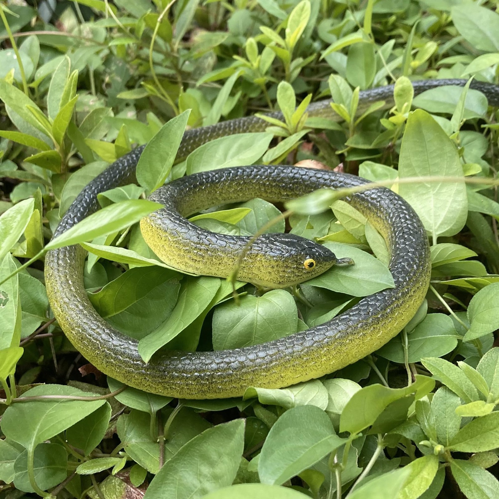 4 Pcs 31.5″ Realistic Rubber Snake Toy Fake Snake Toy for Prank, Garden Props to